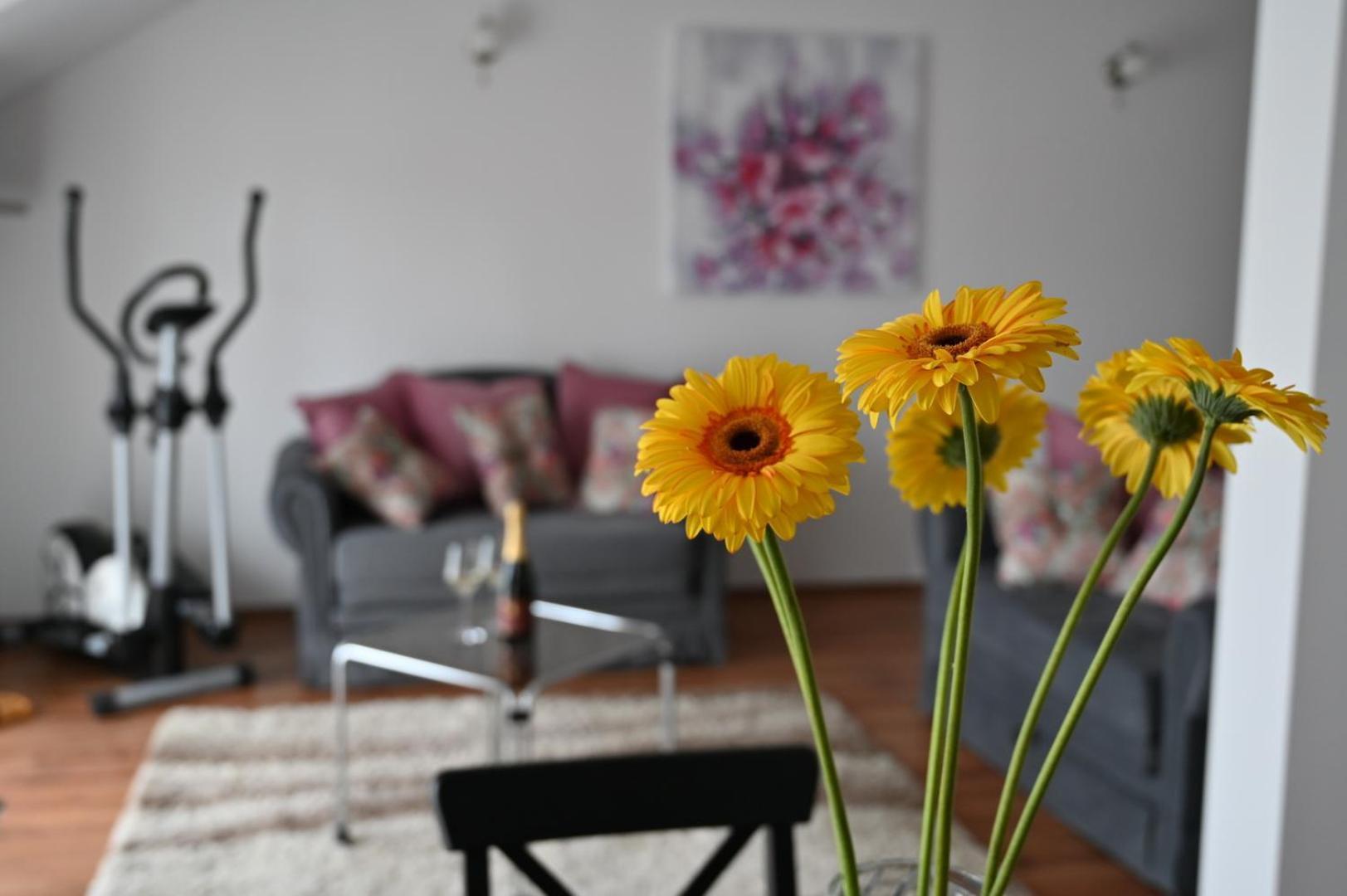 Apartmani Lucija Ludbreg Εξωτερικό φωτογραφία